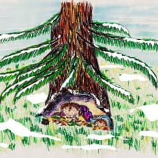 Book Cover Picture - Corduroy's Christmas Adventure