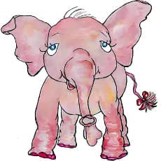 Book Cover Picture - Pink Ethel