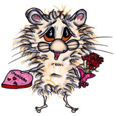 Harrison Hamster I with a heart-shaped box of chocolates and a bunch of flowers for Valentine's Day