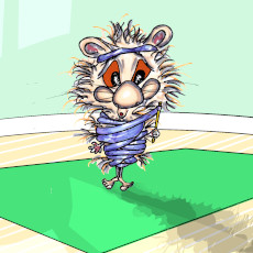 Harrison Hamster I attempts rhythmic gymnastics