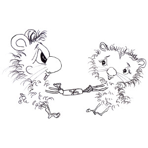 Cartoon hamsters Harrison and Kimster pull a Christmas cracker (printable colour-in greetings card for children).