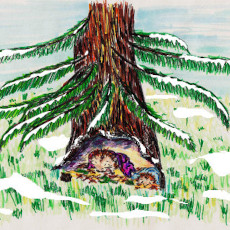 Storybook hedgehogs Corduroy and Velvet sleep under a snow-covered tree.